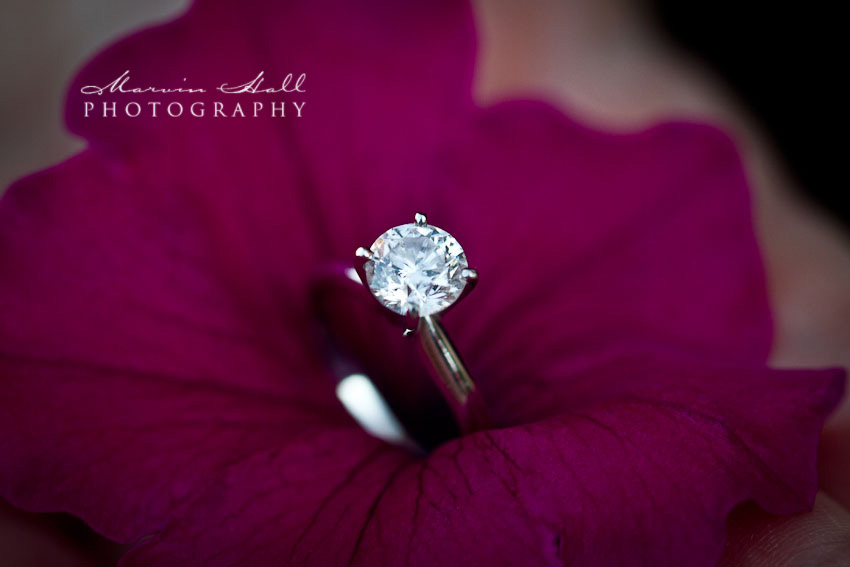 Jason & Erin Engagement Session - Marvin Hall Photography - Lansing Wedding Photographer-115