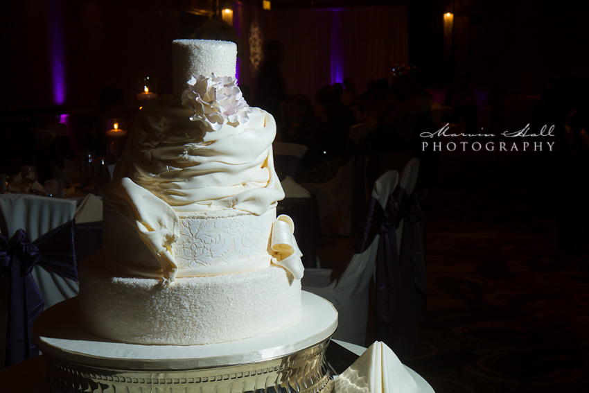 Ian & Noora - Arabic Wedding - Marvin Hall Photography - Lansing, Michigan